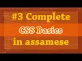CSS Basics in assamese