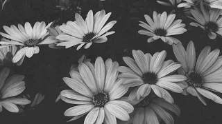 Chris Grey Different 