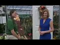 Fall front decor ideas from Pike Nurseries