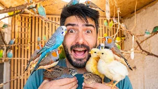 This YouTuber Takes Care of 200 Animals Every Single Day