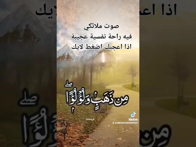 ⁣هنا الراحة النفسية وسكينة الروح #مجالس #شبهات #القرآن #كربلاء #لطمية
