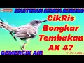 Download Lagu MASTERAN SEMUA BURUNG CIBLEK KRISTAL GACOR TEMBAKAN AK 47