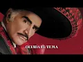 Vicente Fernández - Un Millón de Primaveras (Letra Oficial)