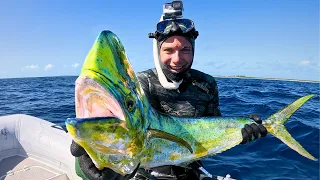 2 DAYS spearfishing REMOTE ISLANDS (Catch & Cook) Ep. 30