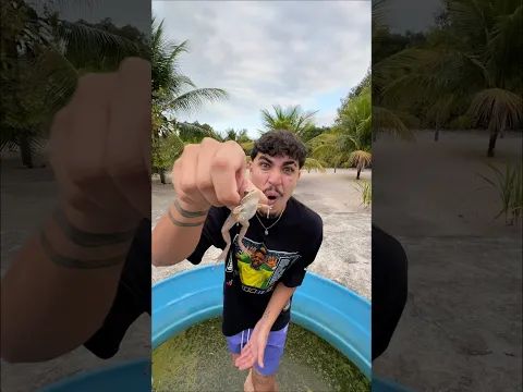 MEU SAPO DE ESTIMAÇÃO!🐸 #shorts