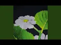 Download Lagu Kau buat aku sakit hati