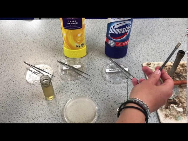 B1 Agar Plates 1 - REQUIRED PRACTICAL
