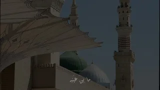 قر ة عين    محمود صقر الصقور دندنها