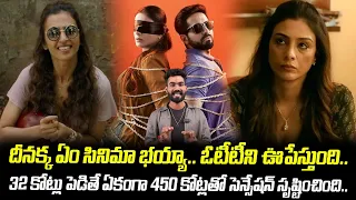 Andhadhun Movie Shaking OTT Platform And Earn 450 Crores | Telugu Cinema Brother