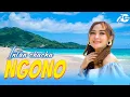Download Lagu INTAN CHACHA NGONO