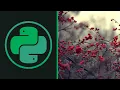 COMMON DJANGO MISTAKES Python