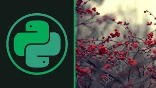 COMMON DJANGO MISTAKES Python