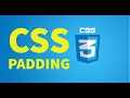 CSS PADDING CSS padding tutorial CSS padding vs margin vs border by CodeETeach