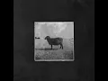 Black Sheep (Live On the Grand Ole Opry)