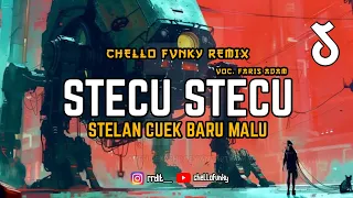 dj stecu stelan cuek baru malu voc faris adam viral tik tok 2025 chello fvnky bassgangga 