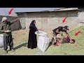 Lagu From bagging hay to the challenges of a second wife: A look at everyday life