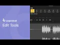 Edit Tools Loopcloud 101