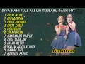 Download Lagu PUTRI IKLAN - DIVA HANI FULL ALBUM TERBARU DANGDUT KOPLO 2025