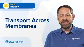 MCAT Biology Cell Transport Across Membranes