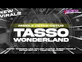 Lagu DJ WONDERLAND STYLE TASSO MIDDLE CETAS-CETUS TERBARU || YANZ REVOLUTION