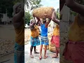 Download Lagu നമുക്കങ്ങട് പോവാം😁💥 |#shorts #shortvideo  #travelling | theettayum karakkavum