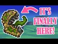 You HAVE to Try This New SECRET Terraria Seed