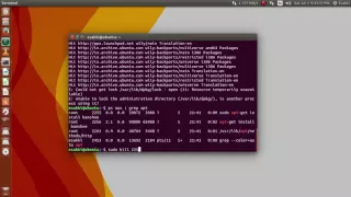 How to fix apt-get error in Mint
