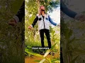 Download Lagu Memori daun pisang #shorts