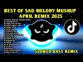 Lagu BEST🔥SAD MELODY TIKTOK VIRAL MUSHUP SLOWED BASS REMIX APRIL 2025🇵🇭