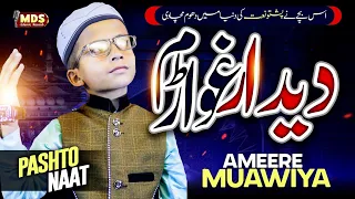 New Pashto Naat Didaar Ghwarram By Ameere Muawiya امیر معاویہ MdsRecordsIslamic New 