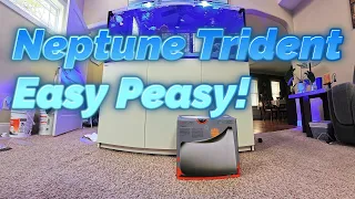 For Ultimate Aquarium Stability - Neptune Trident Setup