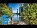10 free things to do in Chicago year-round