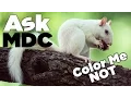 Color Me NOT - AskMDC