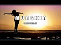 Melly Goeslaw - Mungkin  -  Cover [ Lirik ] Femila Sinukaban