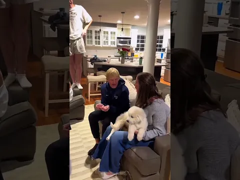surpise gift 🎁🥰 #pet #cat #dog #cute #animals #foryou #typ