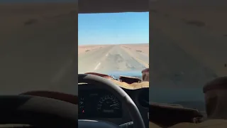 الشاص الهيبة شاص تندرا 