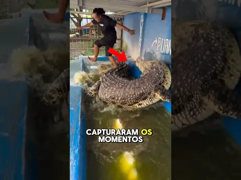 Quando As Câmeras Capturaram os Momentos Mais Incríveis. #animais #curiosidades #bichos