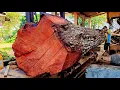 Download Lagu The best record in sawing history!! Beautiful giant red wood and valuable expensive