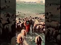 Download Lagu Kurdish Music / Hasan Zirak لەگوندێ کە تۆ مەڕ دۆوش بی @KurdistanFree