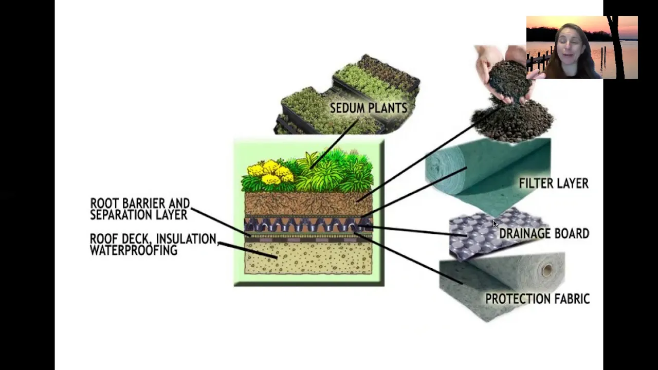 Green Roof Presentation