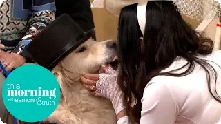woman marries her dog live on this morning this morning