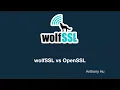 wolfSSL vs OpenSSL