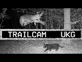 Download Lagu TRAILCAM UKG - speed garage / bass dj set by ekyuu b2b px 🦌🔥🐈‍⬛✨