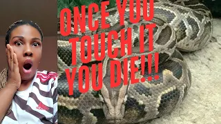 the idemili python and the river goddess