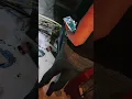 Michael Gladstein abandoned house Rip Emily