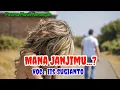 Download Lagu Iis Sugianto [ MANA JANJIMU - Lirik ]