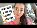 DAY IN THE LIFE OF A REGISTERED BEHAVIOR TECHNICIAN SESSION TIME