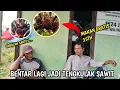 Download Lagu CERITA PAK RT, TRANSMIGRAN ASAL NGAWI,BENTAR LAGI PANEN TANDAN BERDURI TRANSMIGRASI KALIMANTAN