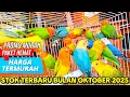 Download Lagu HARGA LOVEBIRD TERMURAH BULAN OKTOBER 2025