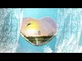 Ai wa Kagerou (愛はかげろう) - Gamu (雅夢)